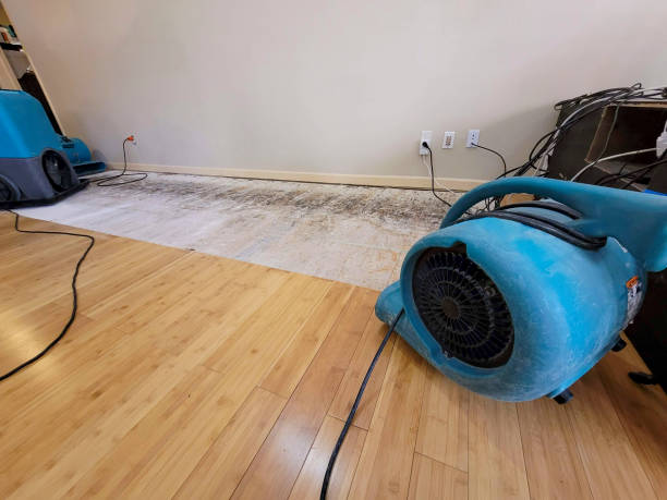 Reliable Basement Flood Cleanup contractor in North Attleboro, MA by Hirex Water Damage
