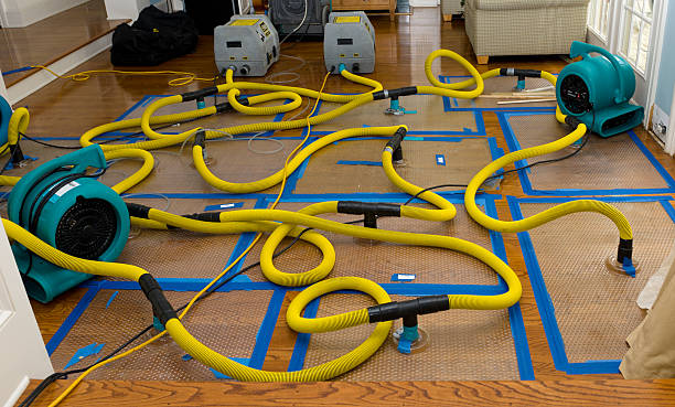 Professional Basement Flood Cleanup technician working in North Attleboro, MA